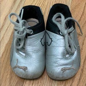 Baby Pumas